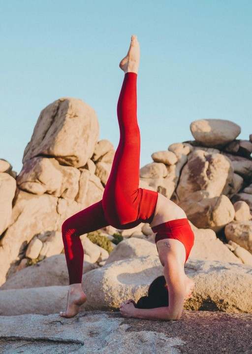Beweging en kracht