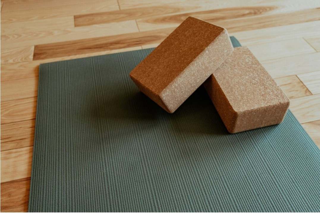 Vinyasa pose 2